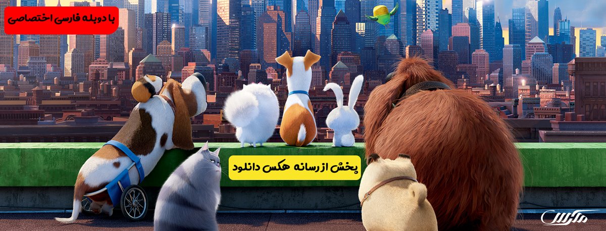 دانلود انیمیشن زندگی مخفی حیوانات The Secret Life of Pets 2016