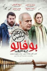 دانلود فیلم بوفالو