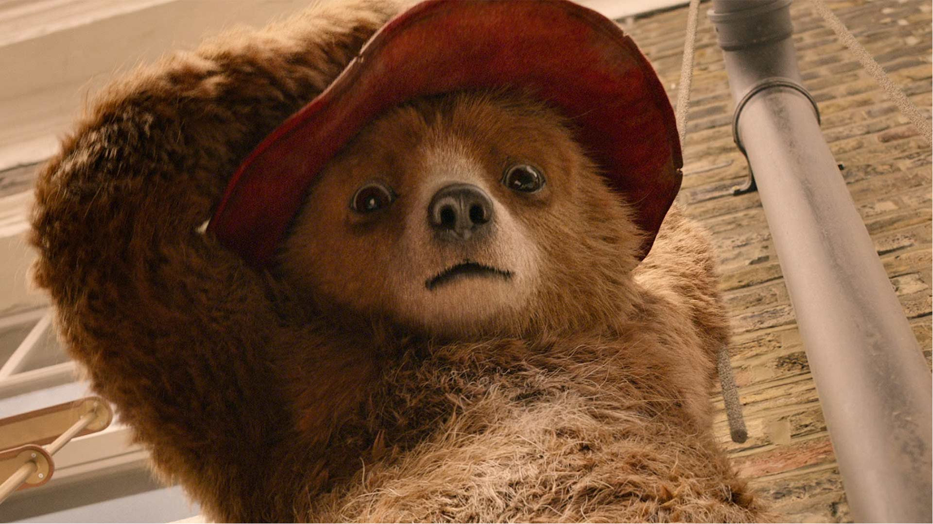 تصویر فیلم Paddington 2