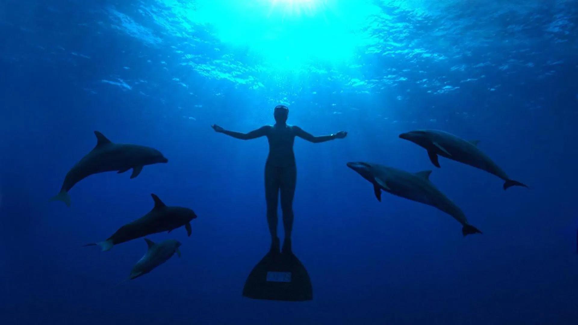 دانلود فیلم خلیج کوچک The Cove 2009