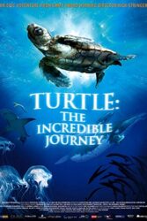 دانلود مستند Turtle The Incredible Journey 2009