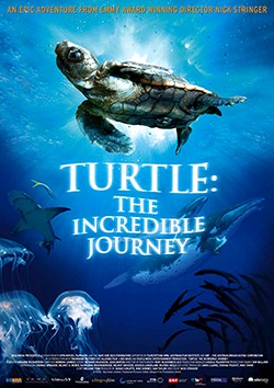 دانلود مستند Turtle The Incredible Journey 2009