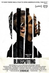 دانلود فیلم نقطه‌کورسازی Blindspotting 2018