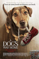 دانلود فیلم A Dogs Way Home 2019