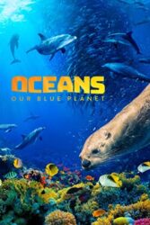 دانلود مستند اقیانوس: سیاره آبی ما Oceans Our Blue Planet 2018