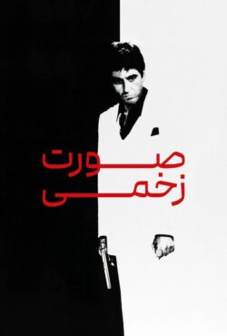 دانلود فیلم صورت زخمی Scarface 1983