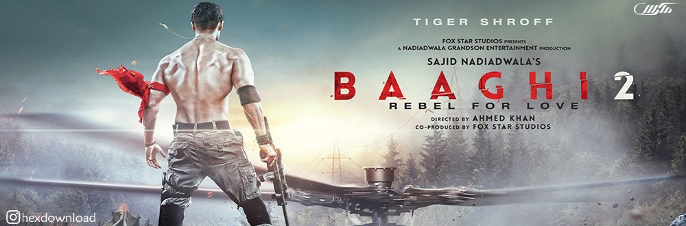 دانلود فیلم Baaghi 2 2018