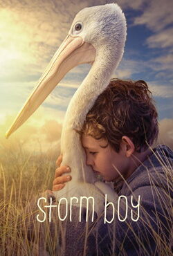 دانلود فیلم Storm Boy 2019