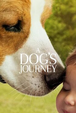 دانلود فیلم A Dogs Journey 2019