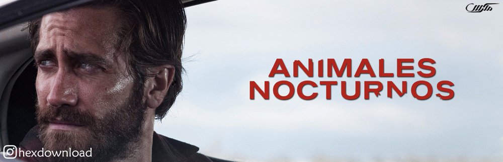 دانلود فیلم Nocturnal Animals 2016