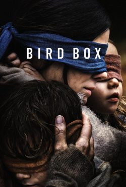 دانلود فیلم جعبه پرنده Bird Box 2018