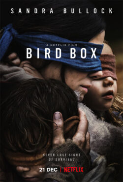 دانلود فیلم جعبه پرنده Bird Box 2018