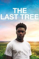 دانلود فیلم The Last Tree 2019