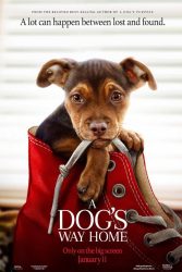 دانلود فیلم مسیر بازگشت یک سگ به خانه A Dogs Way Home 2019