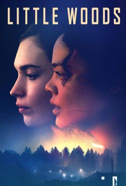 دانلود فیلم جنگل کوچک Little Woods 2018