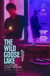 دانلود فیلم The Wild Goose Lake 2019