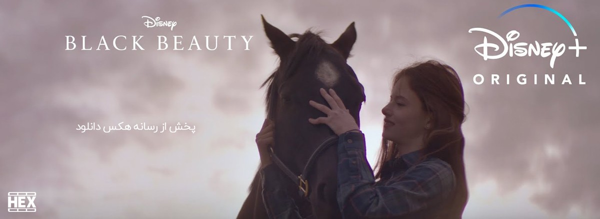 تصویر فیلم Black Beauty 2020