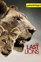 دانلود مستند آخرین شیر The Last Lions 2011