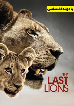 دانلود مستند آخرین شیر The Last Lions 2011