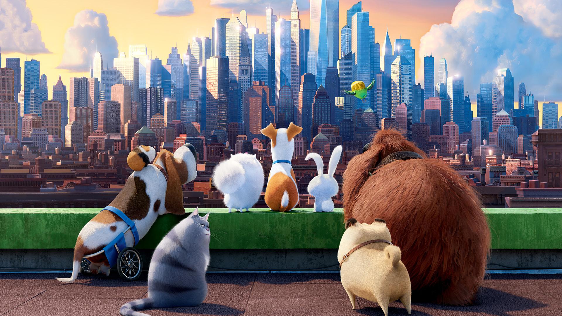 تصویر انیمیشن The Secret Life of Pets