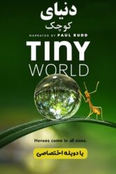 دانلود مستند سریالی دنیای کوچک Tiny World