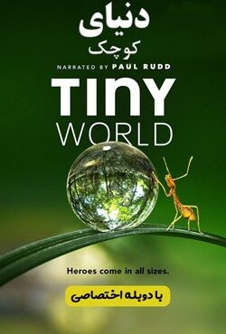 دانلود مستند سریالی دنیای کوچک Tiny World