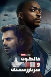 دانلود سریال فالکون و سرباز زمستان The Falcon and the Winter Soldier