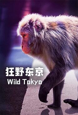 دانلود فیلم توکیو وحشی Wild Tokyo 2020