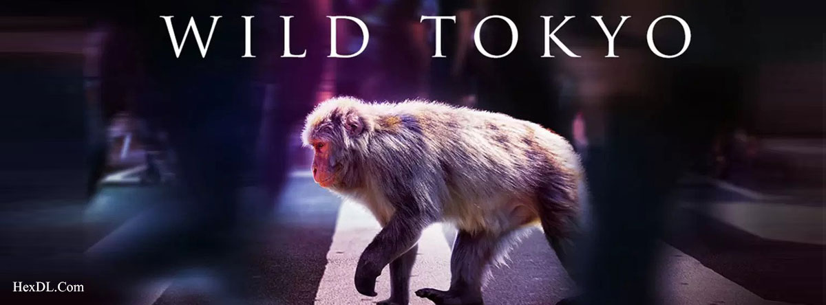 تصویر فیلم Wild Tokyo