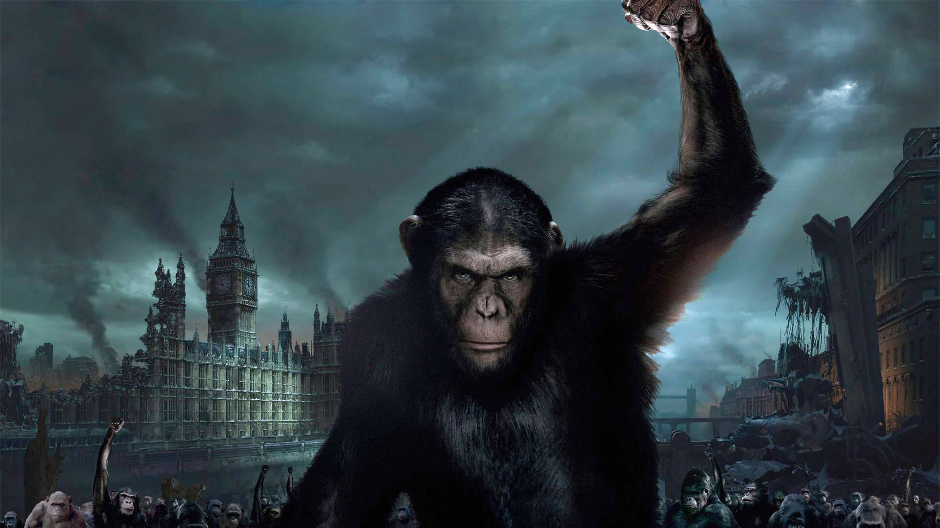 تصویر فیلم Rise of the Planet of the Apes