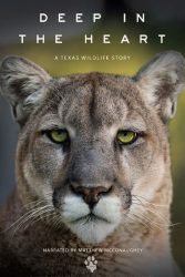 دانلود مستند اعماق قلب: حیات وحش تگزاس Deep in the Heart: A Texas Wildlife Story 2022