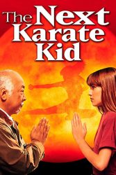 دانلود فیلم دختر کاراته باز The Next Karate Kid 1994