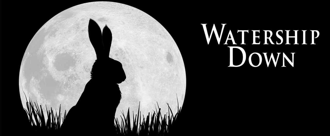 دانلود انیمیشن سریالی تپه خرگوش ها Watership Down 2018