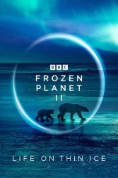 دانلود مستند سریالی سیاره یخ‌ زده 2 Frozen Planet II 2022