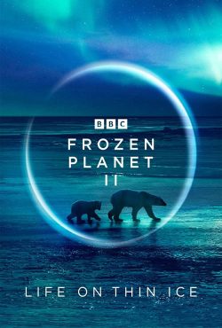 دانلود مستند سریالی سیاره یخ‌ زده 2 Frozen Planet II 2022