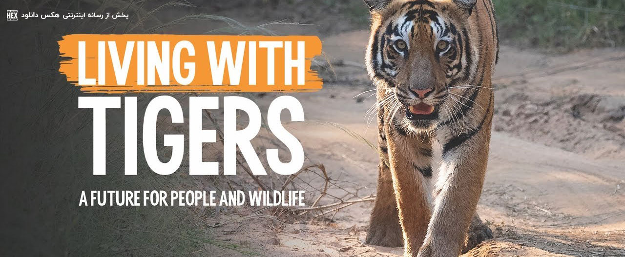 تصویر فیلم Living with Tigers