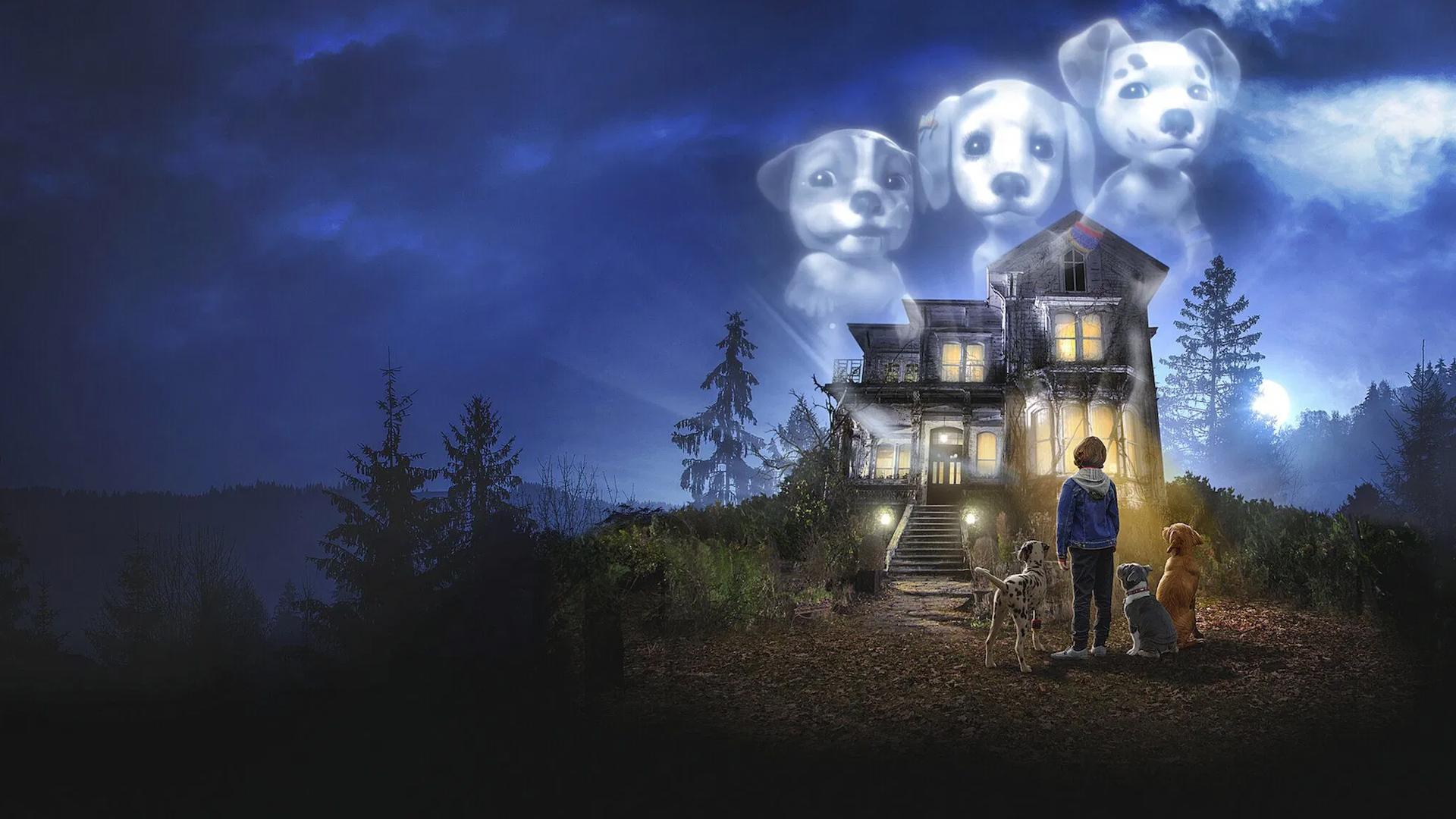 دانلود سریال توله سگ های شبح Phantom Pups