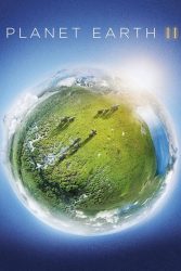 دانلود مستند سریالی سیاره زمین 2 Planet Earth II 2016