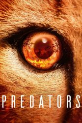 دانلود مستند سریالی شکارچیان Predators 2022