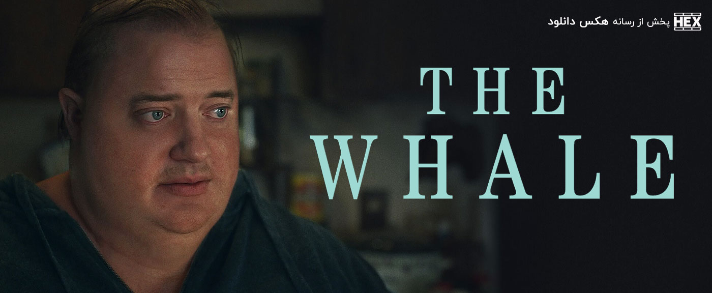 تصویر فیلم The Whale