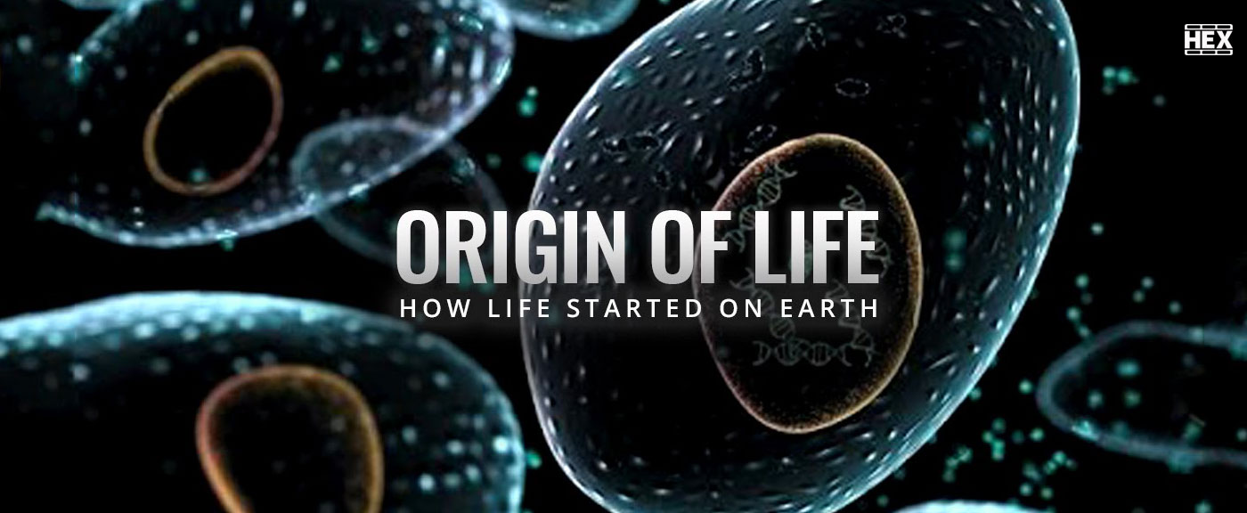 تصویر فیلم Origins of Life