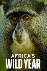 دانلود مستند سال حیات وحش آفریقا Africa’s Wild Year 2021