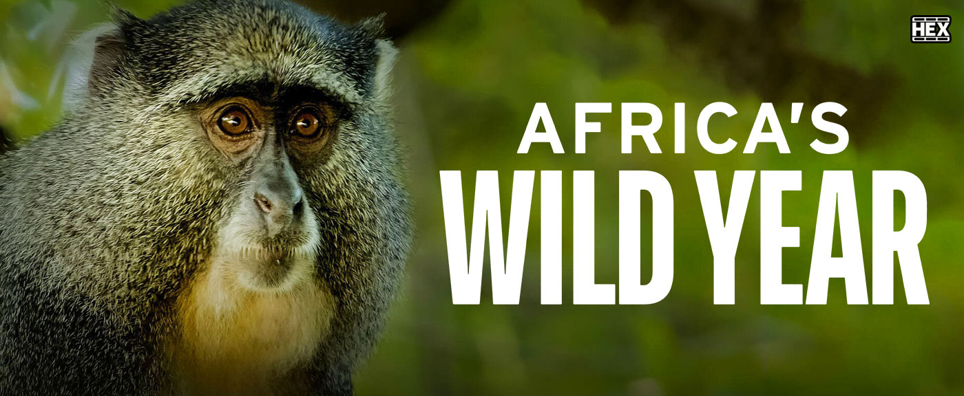 تصویر سریال Africa's Wild Year