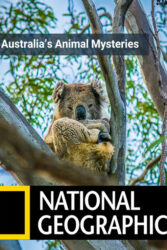 دانلود مستند اسرار جانوران استرالیا Australia’s Animal Mysteries 1984