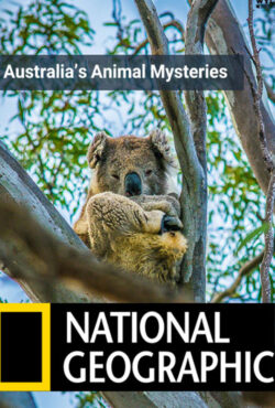 دانلود مستند اسرار جانوران استرالیا Australia’s Animal Mysteries 1984