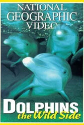 دانلود مستند دلفین های وحشی Dolphins: The Wild Side 1999