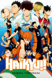 دانلود انیمه آبشار سرنوشت Haikyu