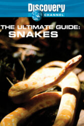 دانلود مستند مارها The Ultimate Guide: Snakes 1997