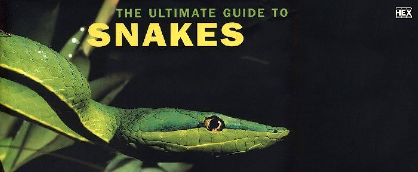 تصویر فیلم The Ultimate Guide: Snakes