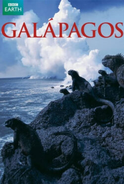 دانلود مستند گالاپاگوس Galapagos 2006